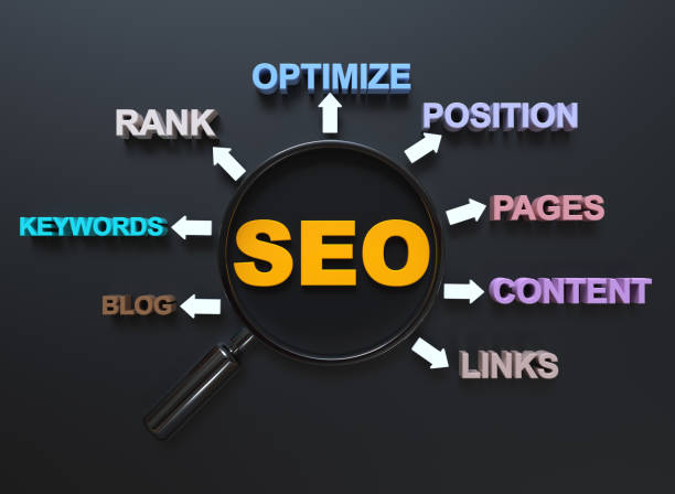 SEO Company in Udaipur